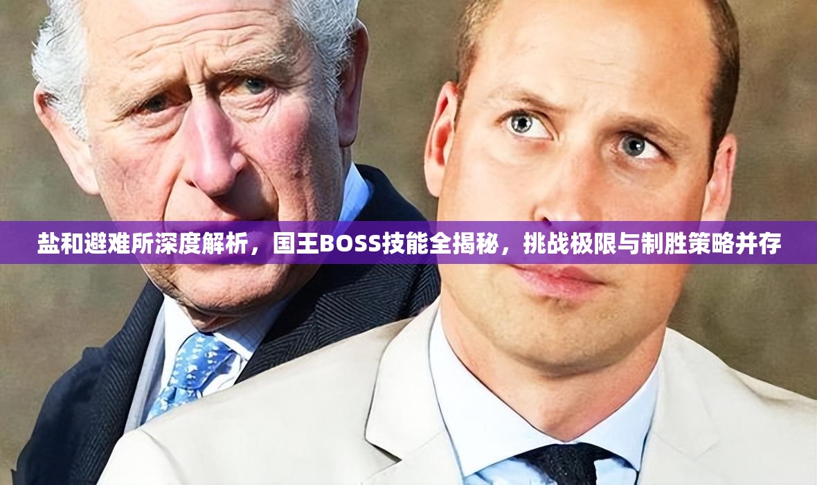 鹽和避難所深度解析，國(guó)王BOSS技能全揭秘，挑戰(zhàn)極限與制勝策略并存