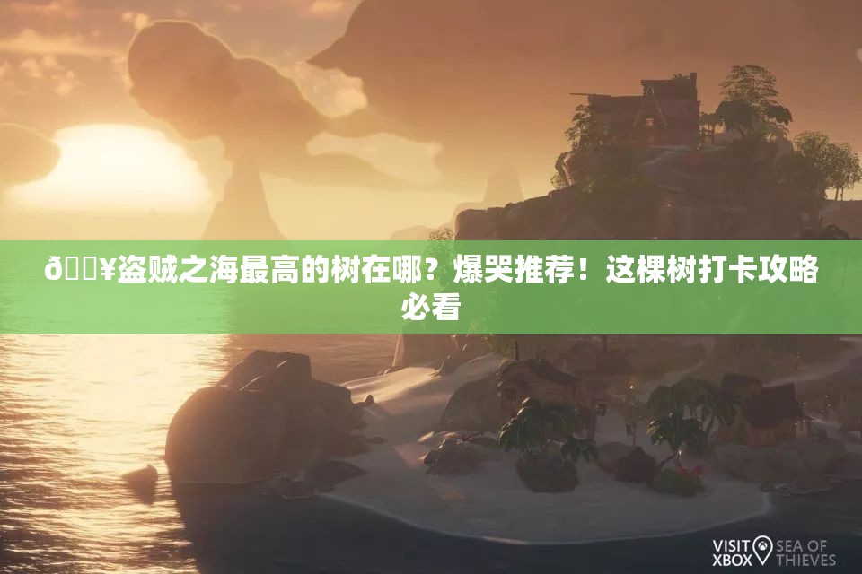 ??盜賊之海最高的樹(shù)在哪？爆哭推薦！這棵樹(shù)打卡攻略必看